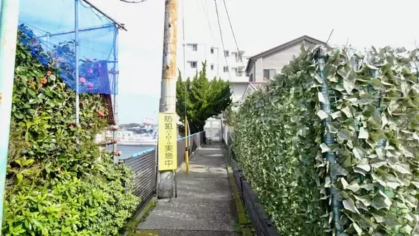 「眺望が良い＝登ること！【駅ぶら03】京浜急行83」の画像