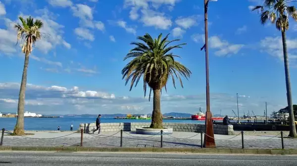 「ペリーさん59歳の春【駅ぶら03】京浜急行145」の画像