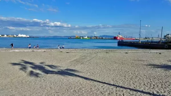 「ペリーさん59歳の春【駅ぶら03】京浜急行145」の画像