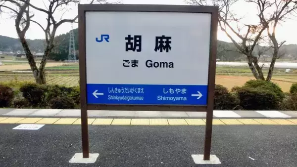 「岡山色なんて懐かしいなぁ【50代から始めた鉄道趣味】251」の画像