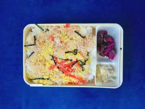 「50年の歴史に幕が引かれました【50代から始めた鉄道趣味】270」の画像