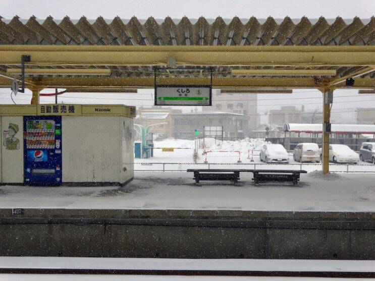 エゾジカは写らない【50代から始めた鉄道趣味】276