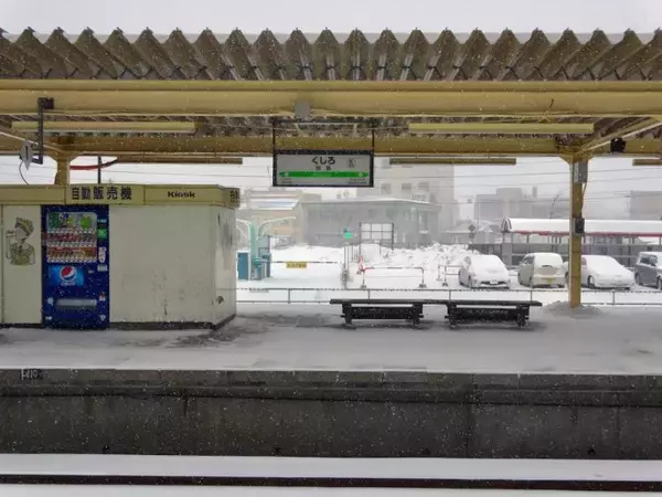 「エゾジカは写らない【50代から始めた鉄道趣味】276」の画像