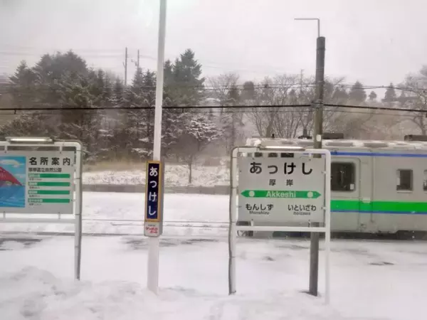 「エゾジカは写らない【50代から始めた鉄道趣味】276」の画像