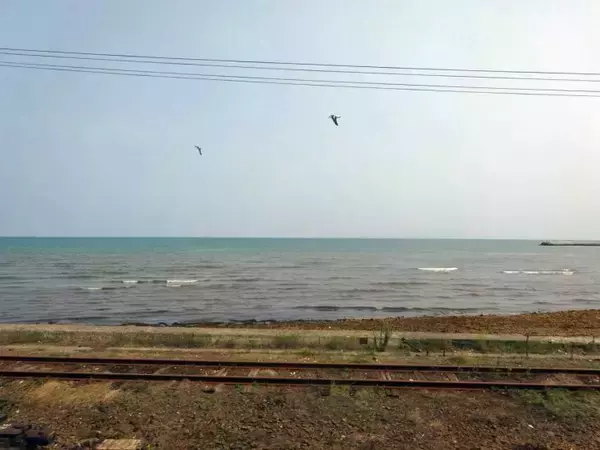 「森駅では　やっぱホカホカの「いかめし」っしょ？【50代から始めた鉄道趣味】311」の画像