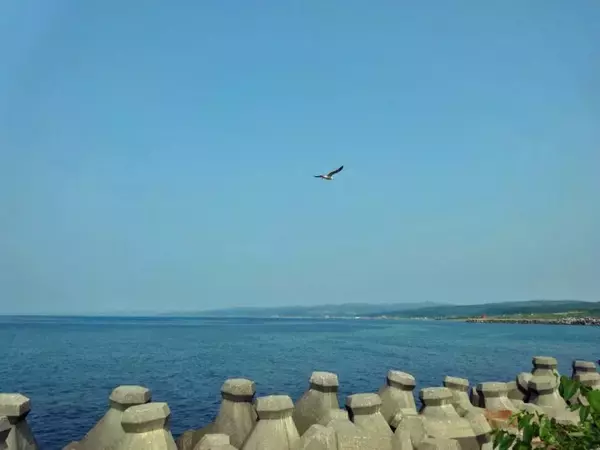 「増毛散歩から留萌本線で帰ります【50代から始めた鉄道趣味】320」の画像