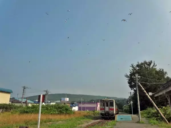 「増毛散歩から留萌本線で帰ります【50代から始めた鉄道趣味】320」の画像