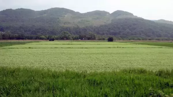 夏の富良野は久しぶり【50代から始めた鉄道趣味】324