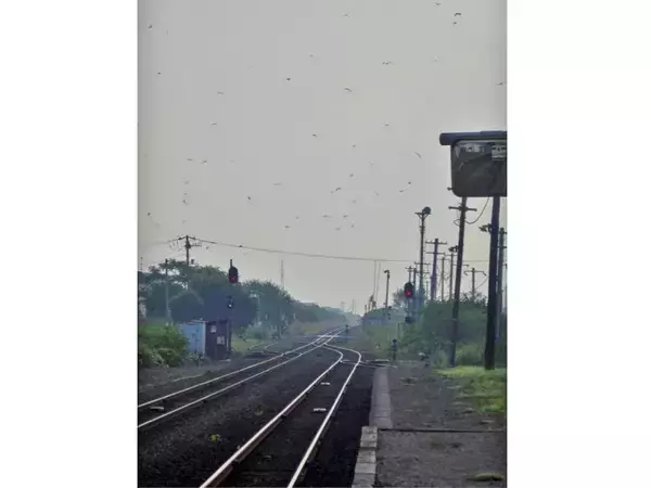 「昨日と同じ根室本線で富良野まで戻ります【50代から始めた鉄道趣味】329」の画像