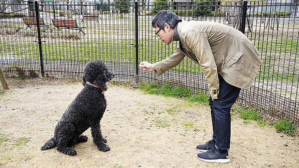 獣医系 生命科学系の麻布大学に ヒトと動物の共生科学センター 新設 研究と教育を一体化し最先端アクティブラーニングをめざす 年6月3日 エキサイトニュース
