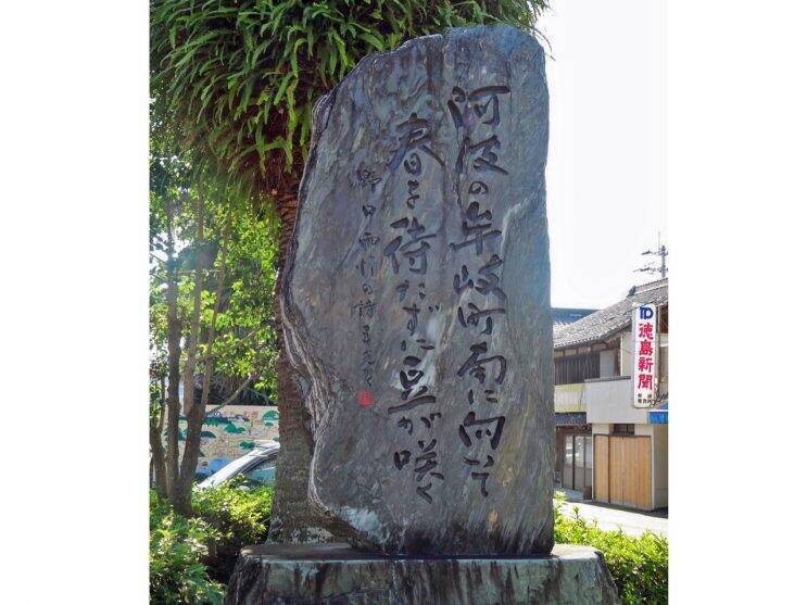 牟岐線　気持ちの良い車窓です【50代から始めた鉄道趣味】363