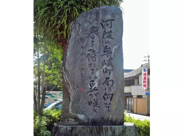 「牟岐線　気持ちの良い車窓です【50代から始めた鉄道趣味】363」の画像