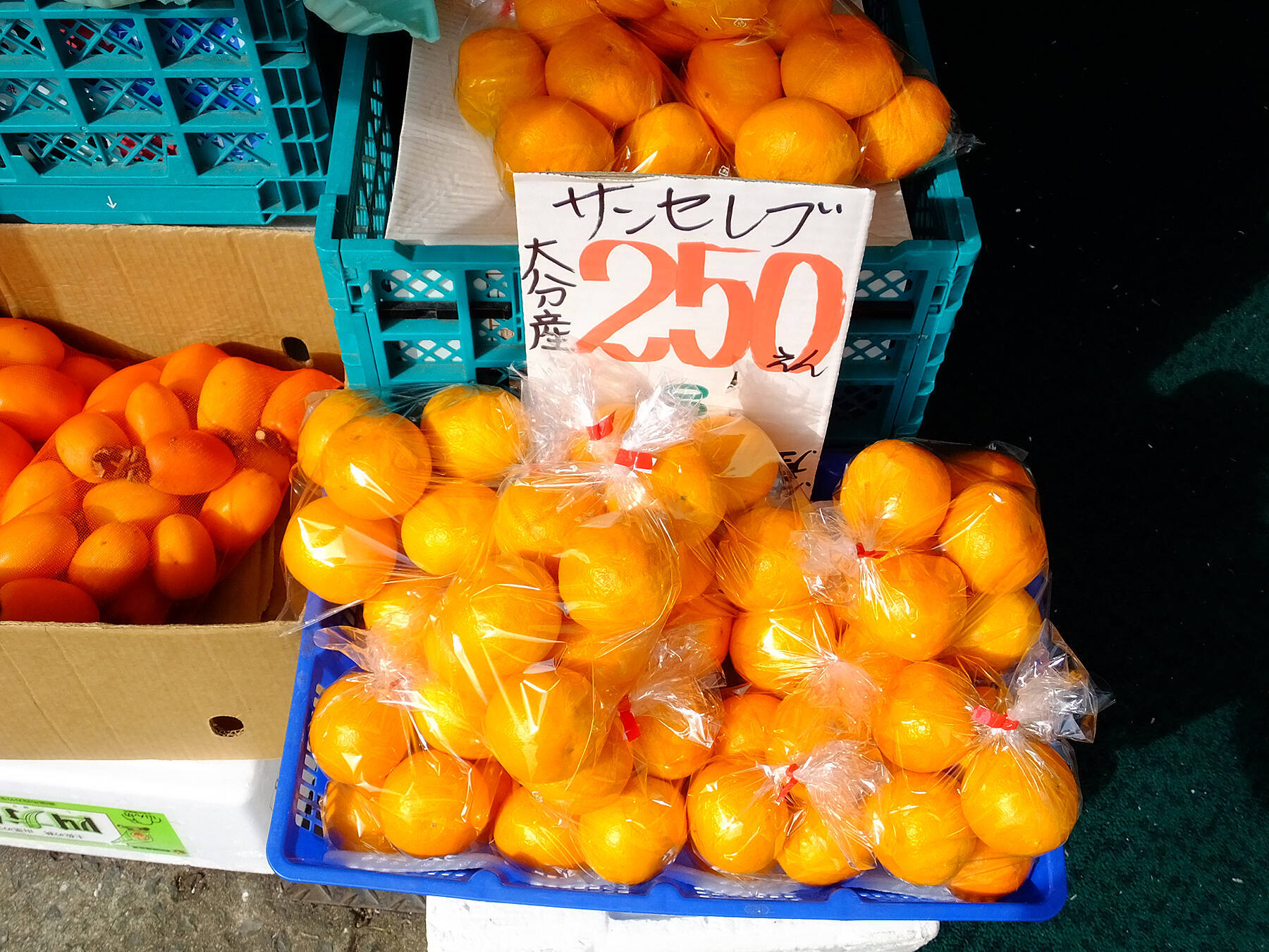 水曜18時～定期配信【鉄道チャンネル LINE LIVE】きょうの話題は！