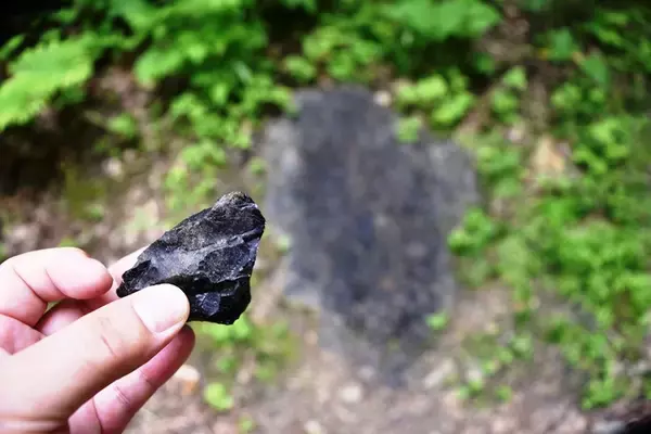 「【北海道の鉄道発祥地　幌内線・鉄道遺産を訪ねて (1)】1,000円で宿泊可能なライダーハウスに転用された「萱野駅」」の画像