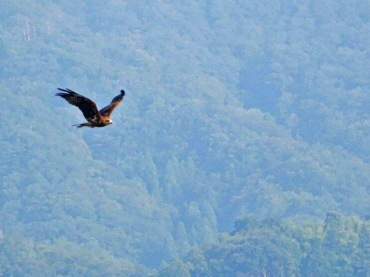 鉄道旅でベスト3に入る居酒屋です【50代から始めた鉄道趣味】434