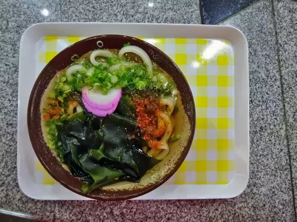 「宇野駅から髙松行フェリーに乗船【50代から始めても楽しめますよ鉄道趣味】」の画像