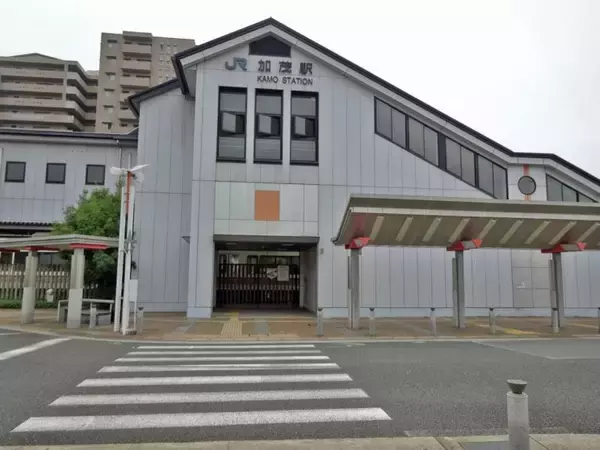 「関西本線の複雑な歴史は割愛いたします【50代から始めたい鉄道趣味】」の画像