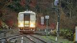 「トンネル坑口の写真が続きます【50代なら鉄道趣味】」の画像1