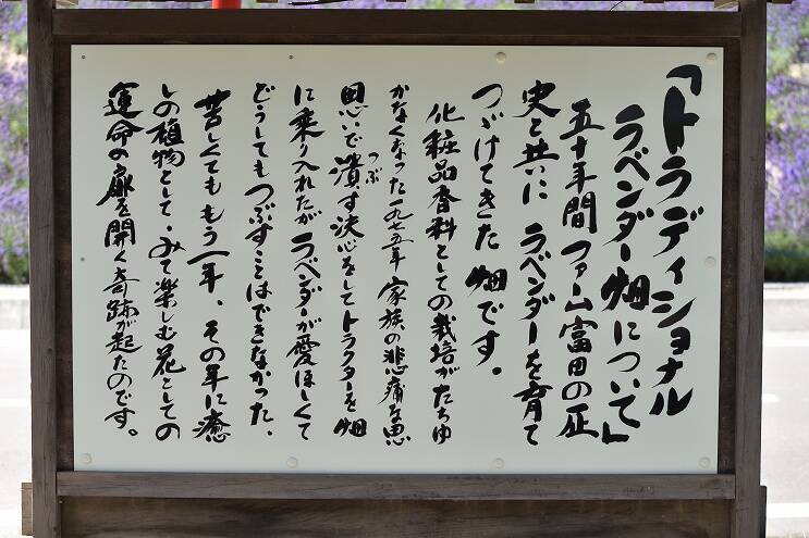 田園風景の中をのんびり・ゆっくり走る　富良野・美瑛ノロッコ1号乗車記【4】　ラベンダー畑・中富良野編