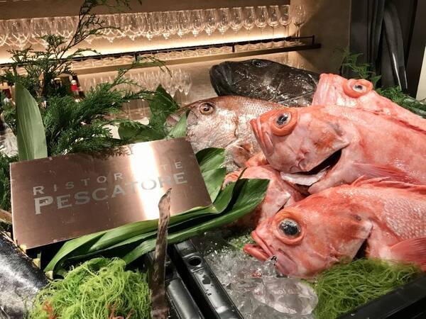 お客様が釣った魚を最高のシェフが調理 会員制イタリアンがリニューアルオープン 年8月9日 エキサイトニュース