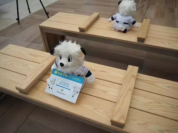 「トレインビューの屋外デッキだけじゃない　新改札や待合スペースなど注目スポット多数　生まれ変わる所沢駅」の画像