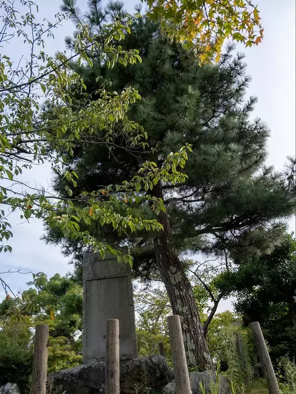 「「くろまつ号」プラスアルファの鉄道旅！天橋立＆西舞鶴のスポットを紹介します」の画像