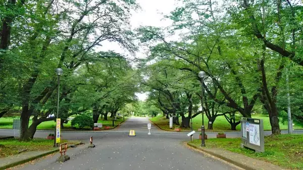 「稲荷山公園　元はハイドパーク！【駅ぶら04】西武池袋線058」の画像