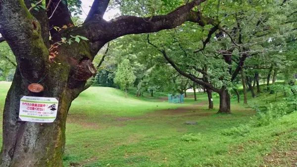 「稲荷山公園　元はハイドパーク！【駅ぶら04】西武池袋線058」の画像