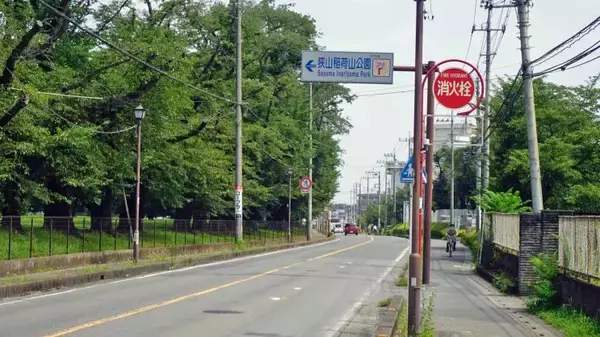 「稲荷山公園　元はハイドパーク！【駅ぶら04】西武池袋線058」の画像