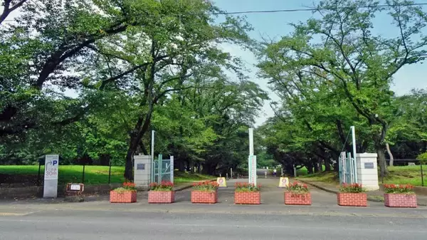 「稲荷山公園　元はハイドパーク！【駅ぶら04】西武池袋線058」の画像