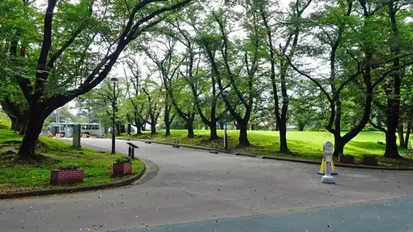 「稲荷山公園　元はハイドパーク！【駅ぶら04】西武池袋線058」の画像