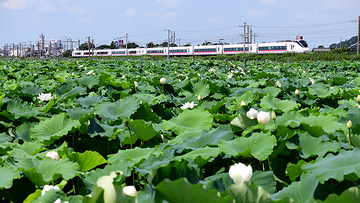 常磐線 柏駅エリアがいま人気ってほんと？ その10の理由と住宅トレンド
