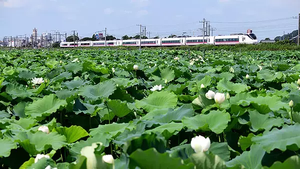 常磐線 柏駅エリアがいま人気ってほんと？ その10の理由と住宅トレンド