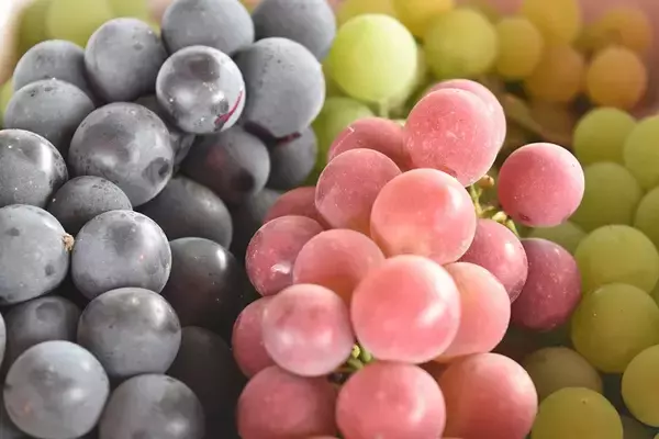 「北海道新幹線札幌延伸でどうなる？　函館本線・山線の旅（３）」の画像