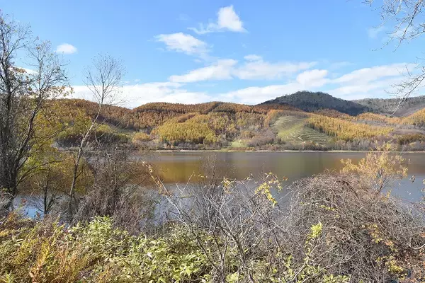 「JR北海道単独維持困難路線を訪ねて　晩秋の富良野～新得の旅「2」」の画像