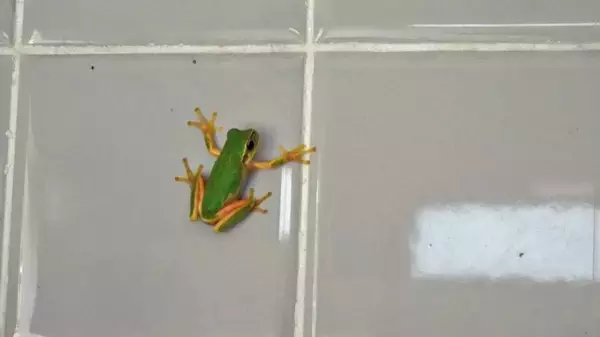 「これにて美祢線は落着【木造駅舎巡礼06】美祢線09」の画像