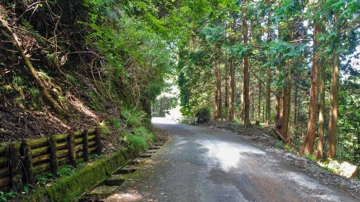 丈夫な駅舎でよかった【木造駅舎巡礼07】日田彦山線08