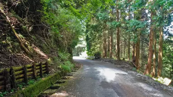 「丈夫な駅舎でよかった【木造駅舎巡礼07】日田彦山線08」の画像