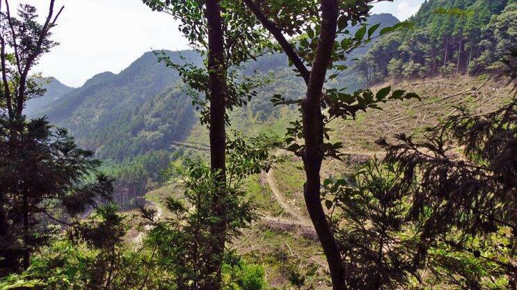 丈夫な駅舎でよかった【木造駅舎巡礼07】日田彦山線08