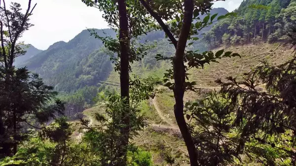 「丈夫な駅舎でよかった【木造駅舎巡礼07】日田彦山線08」の画像
