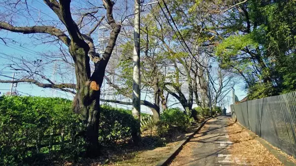 「見慣れた風景なのでついつい長居【駅ぶら04】多摩川線05」の画像