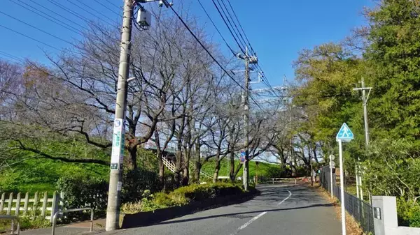 「見慣れた風景なのでついつい長居【駅ぶら04】多摩川線05」の画像
