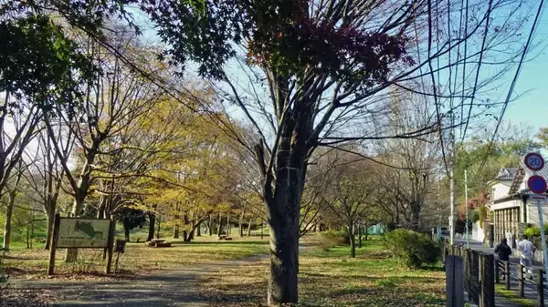 「見慣れた風景なのでついつい長居【駅ぶら04】多摩川線05」の画像