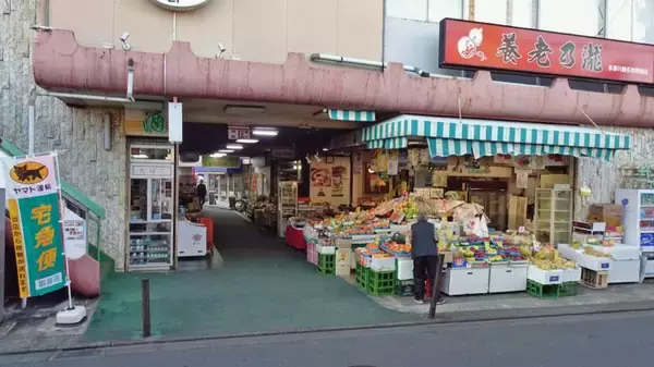 「初めて多磨駅の東側に行きました【駅ぶら04】多摩川線08」の画像