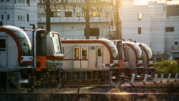 クイズ：新木場緑道公園から