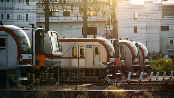 クイズ：新木場緑道公園から