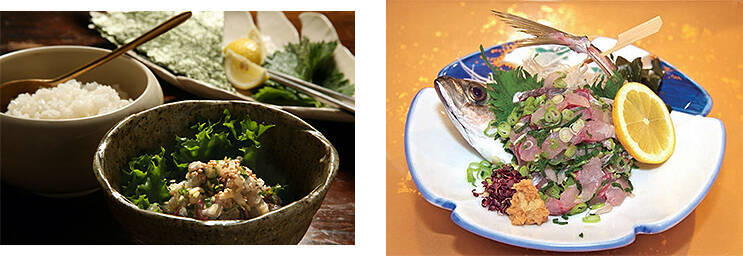 WEST EXPRESS 銀河 が島根に再来！ 山陰を列車で行く旅のみどころ、最新グルメをチェック！