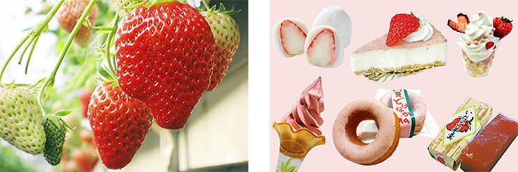 WEST EXPRESS 銀河 が島根に再来！ 山陰を列車で行く旅のみどころ、最新グルメをチェック！