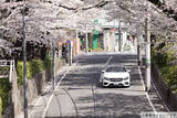 「メルセデス・ベンツのオープンカーで東京 桜名所をお花見ドライブ！ 特別な試乗体験「さくらクルーズ」3/19～開催」の画像1