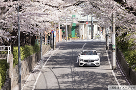 メルセデス・ベンツのオープンカーで東京 桜名所をお花見ドライブ！ 特別な試乗体験「さくらクルーズ」3/19～開催